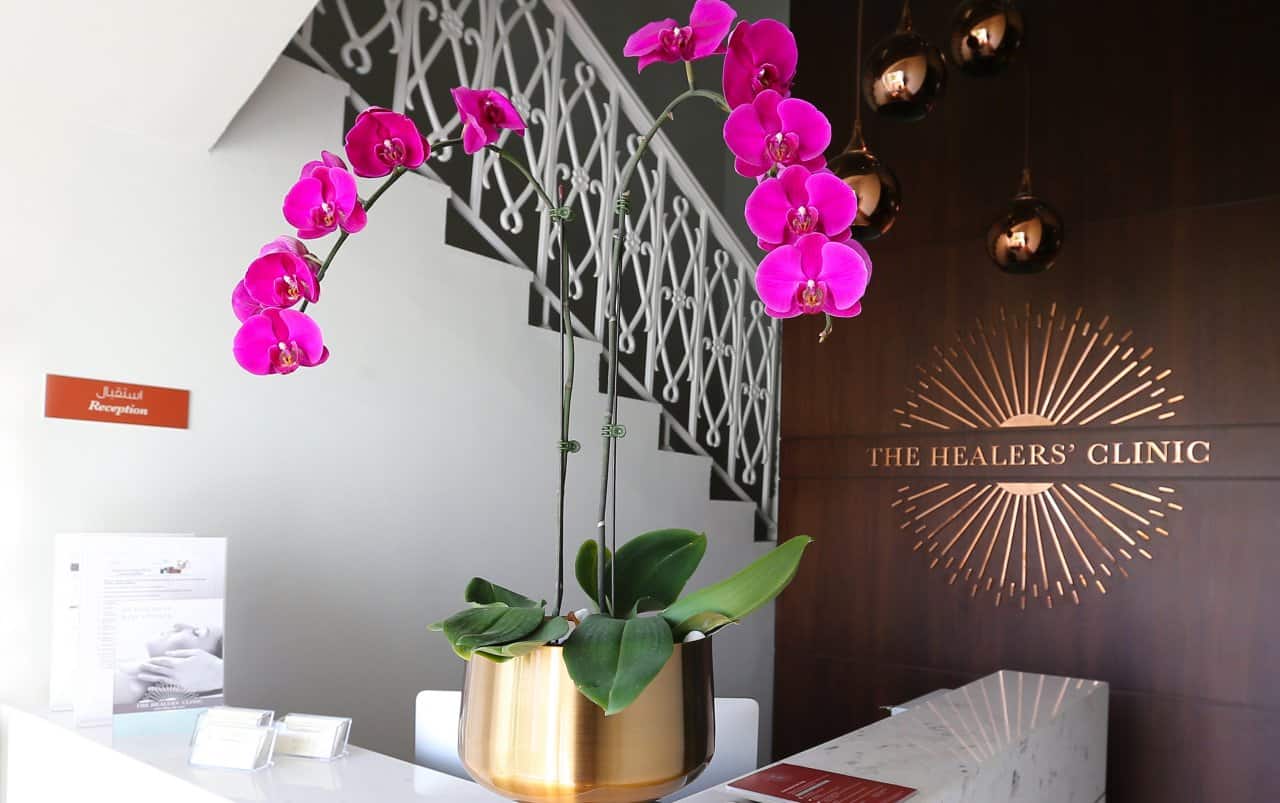 Healers Clinic Reception - Welcoming modern healthcare facility entrance area with professional staff and integrative medicine approach