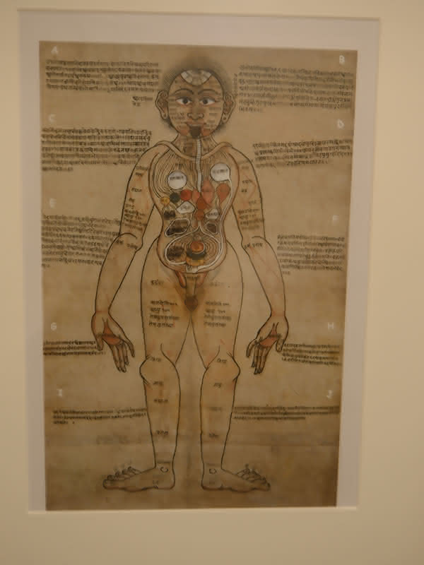 Kalari Marma therapy - Traditional Kerala martial arts healing techniques integrated with modern physiotherapy at Healers Clinic Dubai for holistic musculoskeletal treatment